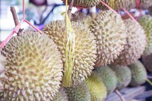 köstlich frisch Durian Obst wie ein Hintergrund foto