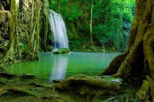 Wasserfall im grünen Wald foto