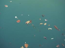 Blätter schwimmen auf Flusswasser foto