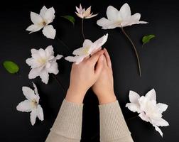 zwei weiblich Hände und Blühen Weiß Klematis Knospen foto