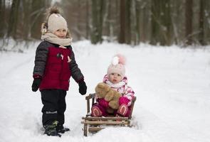 Kinder Reiten auf ein Jahrgang hölzern Schlitten gegen das Hintergrund von ein Winter Wald. Bruder und wenig Schwester auf ein Winter gehen. foto