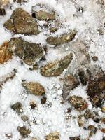 Weiß Schnee auf das Felsen foto