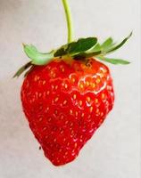 Erdbeeren auf einem weißen Hintergrund foto