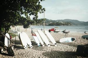 Surfbretter Rahmen unter Kokosnuss Palmen Strand Strand entspannen Spaß Urlaub Sommer- Urlaub. foto