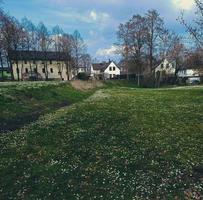 klein Häuser sichtbar im das Park. Grün Rasenflächen im Deutschland foto