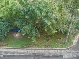 Blumenbeet auf der Straße in der Nähe des Hauses foto