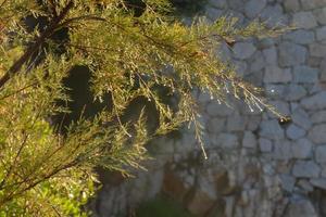 katalanische costa brava in der stadt s'agaro foto