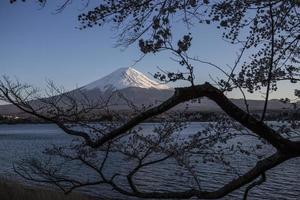 Kirschblütenfest in Japan foto