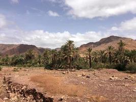 Wüste und bergig Landschaft von Marokko wo Dort ist ein Oase umgeben durch Palme Bäume. foto