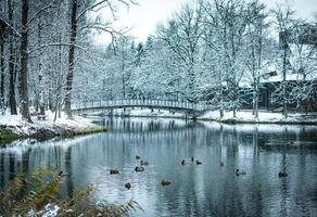 Winter im Iwano-Frankiwsk Stadt durch das Fluss foto