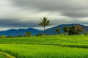 schöne Morgenansicht Indonesien Panoramalandschaft Reisfelder mit Schönheitsfarbe und natürlichem Himmelslicht foto