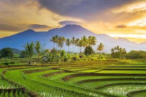 schöne Morgenansicht Indonesien Panoramalandschaft Reisfelder mit Schönheitsfarbe und natürlichem Himmelslicht foto