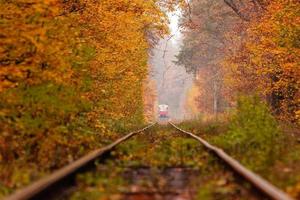 Herbstwald, zwischen dem eine seltsame Straßenbahn fährt foto