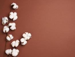 Baumwolle Blume auf ein braun Papier Hintergrund, Overhead. Minimalismus eben legen Komposition foto