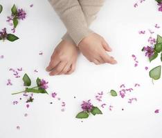 weiblich Hände und Rosa klein Blumen auf ein Weiß Hintergrund foto