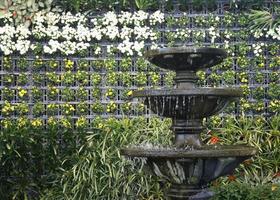 Wasserbrunnen und Blumen foto