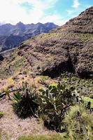 felslandschaft auf den kanarischen inseln foto