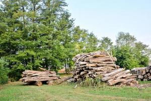 Stapel Holzscheite foto