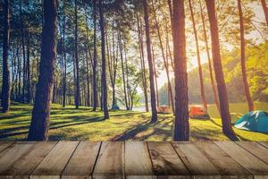 Kiefer Baum Wald und Holz Planke Fußboden mit Sonnenaufgang. Jahrgang Stil. foto