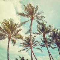 Kokosnuss Palme Baum und Blau Himmel Wolken mit Jahrgang Ton. foto