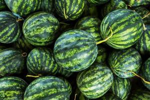 schließen oben Grün Wassermelone zum Landwirtschaft produzieren foto