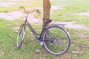 Fahrrad Jahrgang im Garten mit Sonnenlicht foto