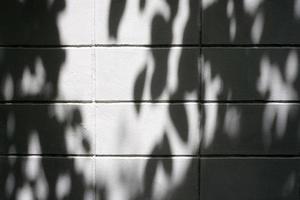 Backstein Mauer mit Licht Strahl und Blätter Schatten Hintergrund. foto