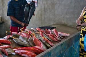 Fischer Verkauf ein Paket von schön Fische im das Markt im Stadt, Dorf foto