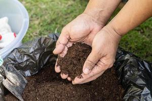 Hand, die Torfmoos organische Substanz hält, verbessert den Boden für die Landwirtschaft Bio-Pflanzenanbau, Ökologiekonzept. foto