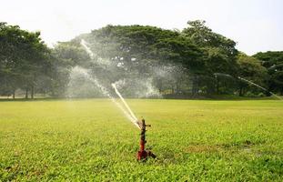 Wassersprinkler in einem Park