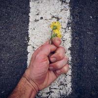 Hand mit gelben Blüten foto