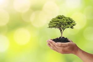 Hand, die einen Baum auf unscharfem grünem Naturhintergrund hält und Ideen und Tag der Erde pflanzt foto