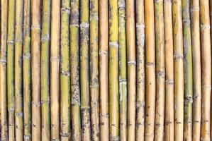 Bambus Wand Hintergrund foto