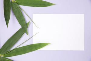 Bambusblatt mit leerer weißer Karte foto