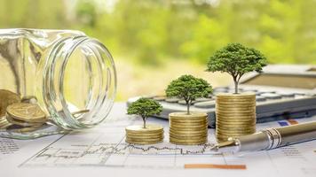 Pflanzen Sie Bäume auf Münzen und Taschenrechnern, Finanzbuchhaltungskonzepte und sparen Sie Geld