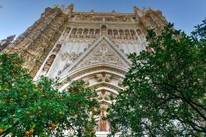 Orange Baum Hof und Kathedrale von st. Maria von das sehen von Sevilla, ebenfalls bekannt wie das Katheder von Sevilla im Spanien. foto