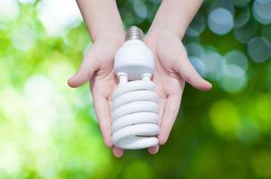 Energie Speichern Konzept, Frau Hand halten Licht Birne auf Grün Natur Hintergrund, Ideen Licht Birne im das Hand foto