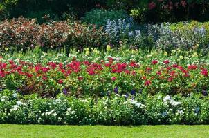 schön farbig Blumen im Park asiatisch Stil zum Hintergrund foto