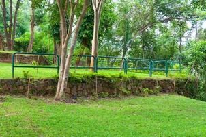 schön Grün Landschaftsbau mit Grün tropisch Park Landschaft Pflanzen im das asiatisch Garten foto