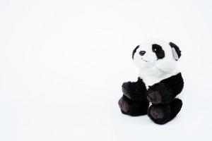 Panda Puppe schwarz und Weiss, schwarz Rand von Augen, Panda Spielzeug zum Kind auf Weiß Hintergrund foto