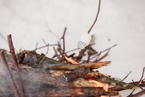 Mäusespeck auf ein hölzern Stock Sein geröstet Über ein Camping Feuer im das Winter Wald Schnee auf das Hintergrund. Familie Urlaub. Winter Urlaub. foto