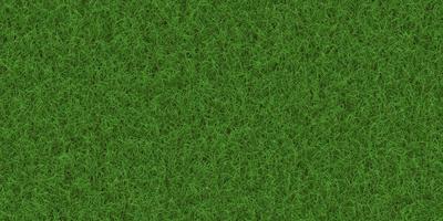 üppig Feld Hintergrund. Park Rasen Muster. texturiert Wiese Hintergrund. Gras Textur. foto