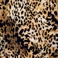 nahtlos Leopard Haut, Leopard Textur. foto