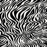 Illustration Zebra Textur, Zebra Haut. foto