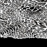 Illustration Wind bewirken Leopard, Tiger, Zebra Textur. foto