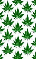 Grün Marihuana Blatt im Natur Muster Design foto