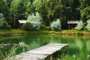 hölzern Dock, Seebrücke, auf ein See im Sommer- Tag foto