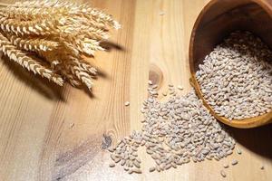 verstreut Korn Getreide Lüge auf das Tabelle mit Weizen Ohren foto