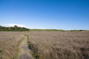 Weg Kreuzung das Wiese zu das Leuchtturm foto