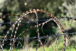 Grün Pflanzen um ein mit Widerhaken Draht Zaun. foto